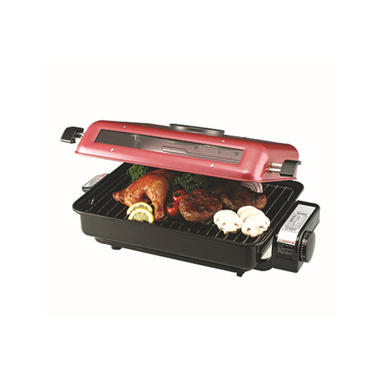 Fish Roaster BBQ 2506